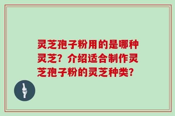 灵芝孢子粉用的是哪种灵芝?介绍适合制作灵芝孢子粉的灵芝种类? 灵芝孢子粉用的是哪种灵芝?介绍适合制作灵芝孢子粉的灵芝种类?