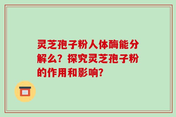 灵芝孢子粉人体酶能分解么？探究灵芝孢子粉的作用和影响？