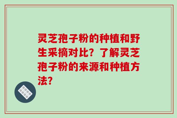 灵芝孢子粉的种植和野生采摘对比？了解灵芝孢子粉的来源和种植方法？