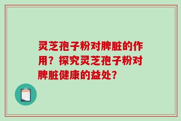 灵芝孢子粉对脾脏的作用？探究灵芝孢子粉对脾脏健康的益处？
