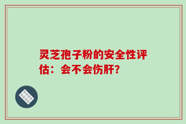 灵芝孢子粉的安全性评估：会不会伤？