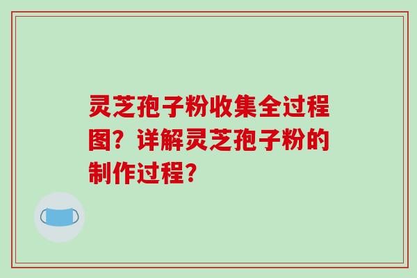 灵芝孢子粉收集全过程图？详解灵芝孢子粉的制作过程？