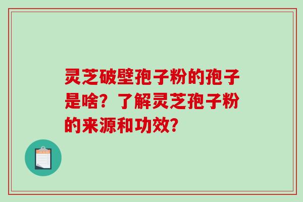 灵芝破壁孢子粉的孢子是啥？了解灵芝孢子粉的来源和功效？