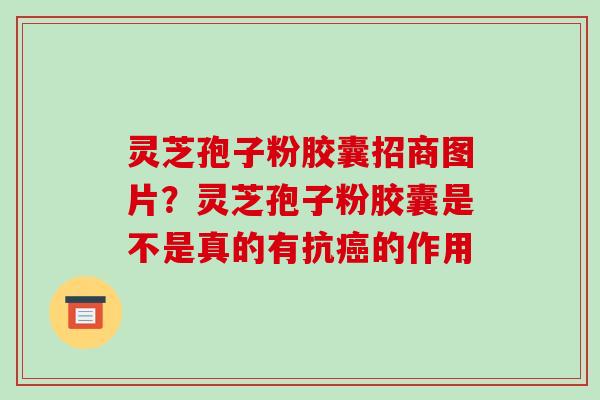 灵芝孢子粉胶囊招商图片？灵芝孢子粉胶囊是不是真的有抗的作用