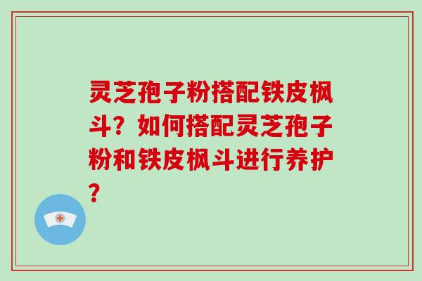 灵芝孢子粉搭配铁皮枫斗？如何搭配灵芝孢子粉和铁皮枫斗进行养护？