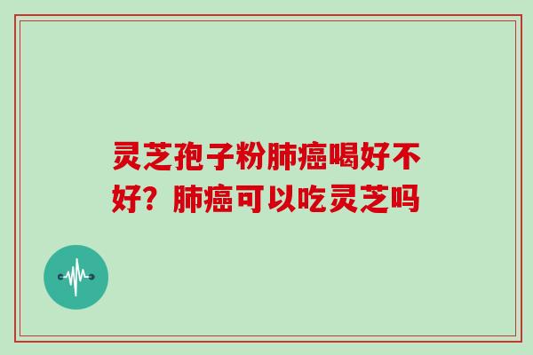 灵芝孢子粉喝好不好？可以吃灵芝吗
