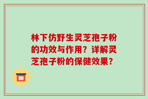 林下仿野生灵芝孢子粉的功效与作用？详解灵芝孢子粉的保健效果？