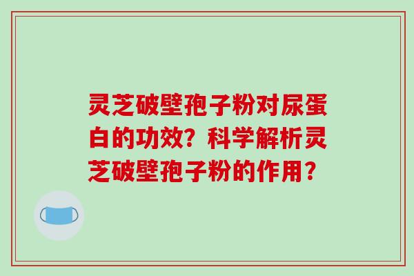 灵芝破壁孢子粉对尿蛋白的功效？科学解析灵芝破壁孢子粉的作用？