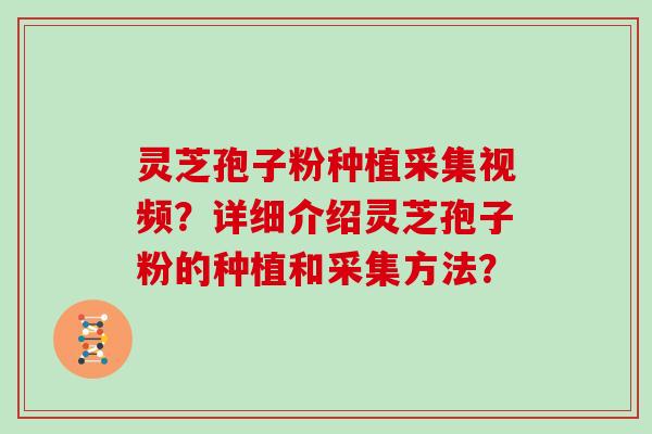 灵芝孢子粉种植采集视频？详细介绍灵芝孢子粉的种植和采集方法？