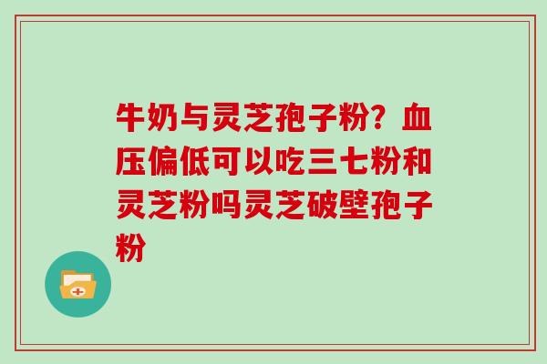 牛奶与灵芝孢子粉？偏低可以吃三七粉和灵芝粉吗灵芝破壁孢子粉