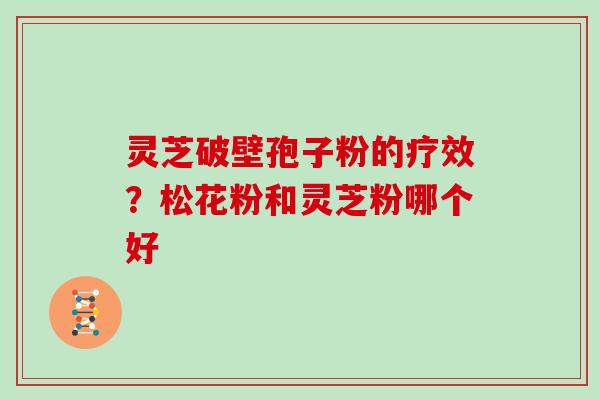 灵芝破壁孢子粉的疗效？松花粉和灵芝粉哪个好