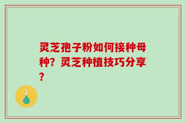灵芝孢子粉如何接种母种?灵芝种植技巧分享? 灵芝孢子粉如何接种母种?灵芝种植技巧分享?