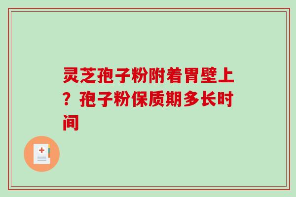 灵芝孢子粉附着胃壁上？孢子粉保质期多长时间