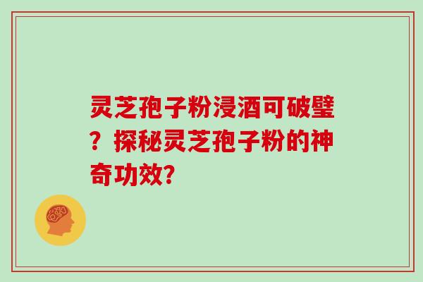 灵芝孢子粉浸酒可破璧?探秘灵芝孢子粉的神奇功效? 灵芝孢子粉浸酒可破璧?探秘灵芝孢子粉的神奇功效?