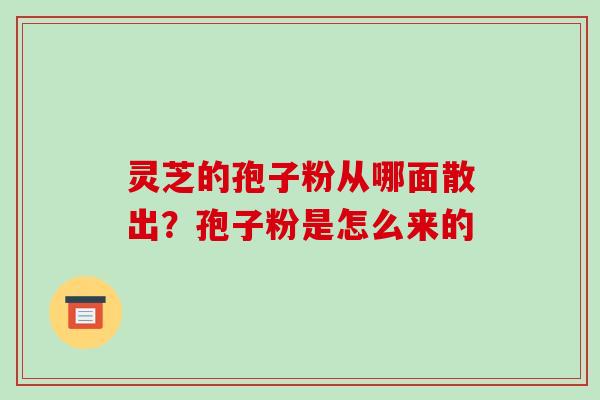 灵芝的孢子粉从哪面散出？孢子粉是怎么来的