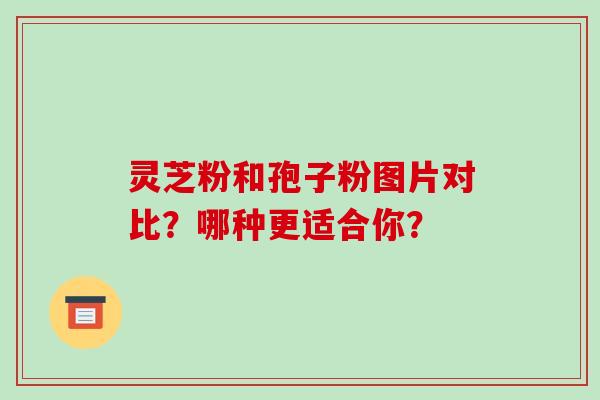 灵芝粉和孢子粉图片对比?哪种更适合你? 灵芝粉和孢子粉图片对比?哪种更适合你?