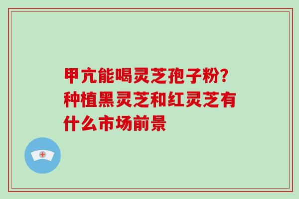 甲亢能喝灵芝孢子粉?种植黑灵芝和红灵芝有什么市场前景 甲亢能喝灵芝孢子粉?种植黑灵芝和红灵芝有什么市场前景