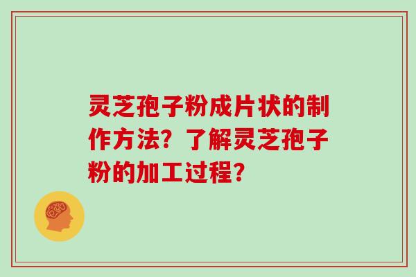 灵芝孢子粉成片状的制作方法？了解灵芝孢子粉的加工过程？