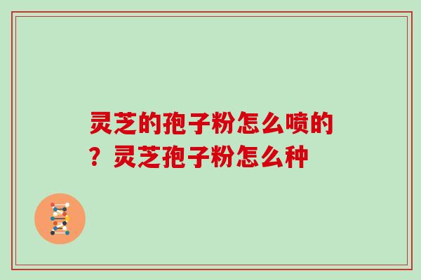 灵芝的孢子粉怎么喷的？灵芝孢子粉怎么种