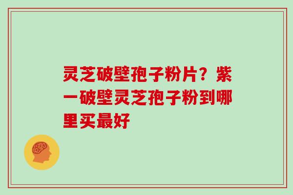灵芝破壁孢子粉片？紫一破壁灵芝孢子粉到哪里买好