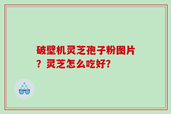 破壁机灵芝孢子粉图片？灵芝怎么吃好？