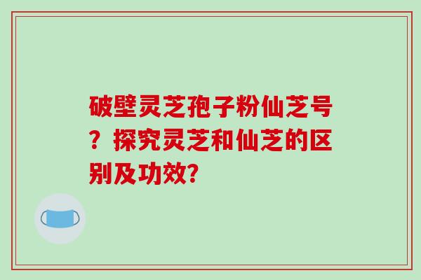 破壁灵芝孢子粉仙芝号？探究灵芝和仙芝的区别及功效？