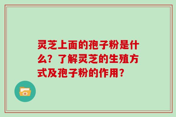 灵芝上面的孢子粉是什么?了解灵芝的生殖方式及孢子粉的作用? 灵芝上面的孢子粉是什么?了解灵芝的生殖方式及孢子粉的作用?
