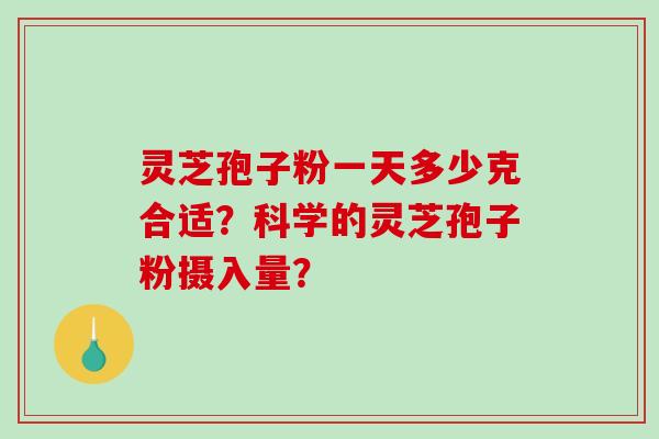 灵芝孢子粉一天多少克合适？科学的灵芝孢子粉摄入量？