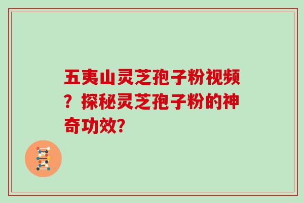 五夷山灵芝孢子粉视频？探秘灵芝孢子粉的神奇功效？