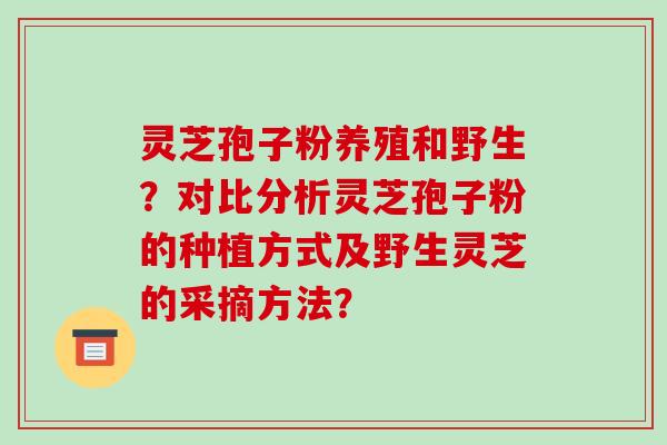 灵芝孢子粉养殖和野生？对比分析灵芝孢子粉的种植方式及野生灵芝的采摘方法？