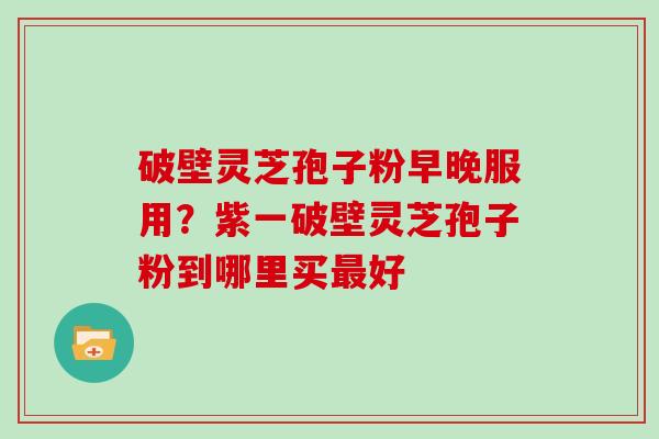 破壁灵芝孢子粉早晚服用？紫一破壁灵芝孢子粉到哪里买好