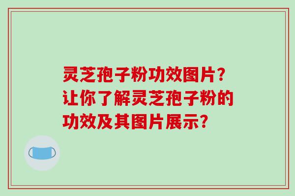 灵芝孢子粉功效图片？让你了解灵芝孢子粉的功效及其图片展示？