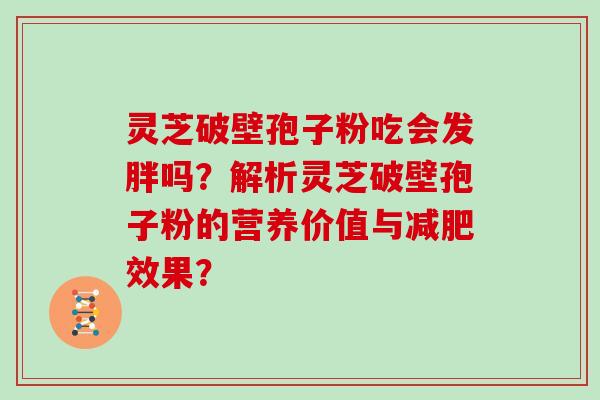灵芝破壁孢子粉吃会发胖吗？解析灵芝破壁孢子粉的营养价值与效果？