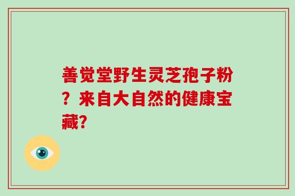 善觉堂野生灵芝孢子粉？来自大自然的健康宝藏？