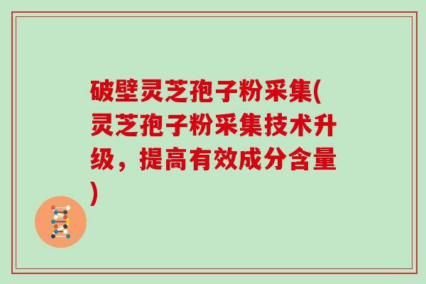 破壁灵芝孢子粉采集(灵芝孢子粉采集技术升级,提高有效成分含量) 破壁灵芝孢子粉采集(灵芝孢子粉采集技术升级,提高有效成分含量)