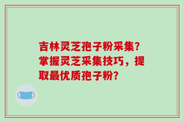 吉林灵芝孢子粉采集？掌握灵芝采集技巧，提取优质孢子粉？