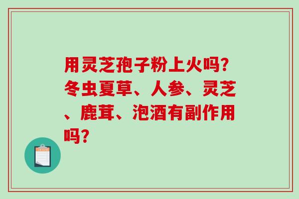 用灵芝孢子粉上火吗?冬虫夏草、人参、灵芝、鹿茸、泡酒有副作用吗? 用灵芝孢子粉上火吗?冬虫夏草、人参、灵芝、鹿茸、泡酒有副作用吗?