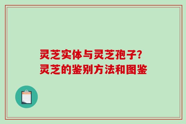 灵芝实体与灵芝孢子?灵芝的鉴别方法和图鉴 灵芝实体与灵芝孢子?灵芝的鉴别方法和图鉴