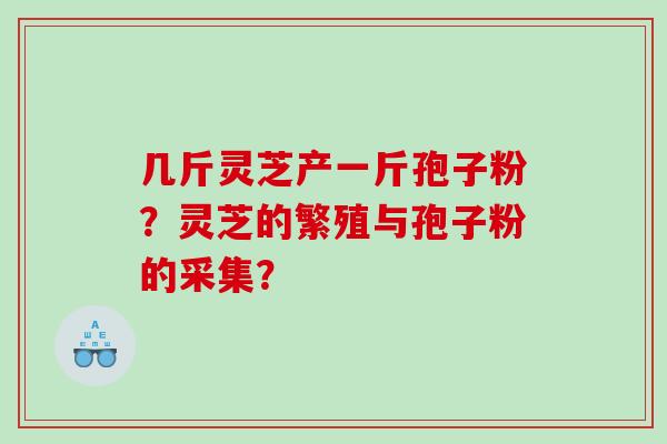 几斤灵芝产一斤孢子粉?灵芝的繁殖与孢子粉的采集? 几斤灵芝产一斤孢子粉?灵芝的繁殖与孢子粉的采集?