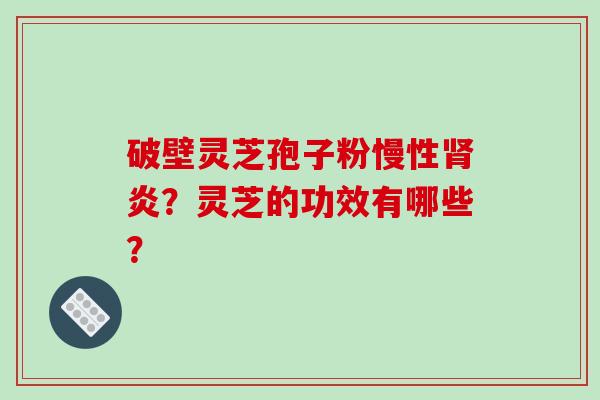 破壁灵芝孢子粉慢性炎？灵芝的功效有哪些？