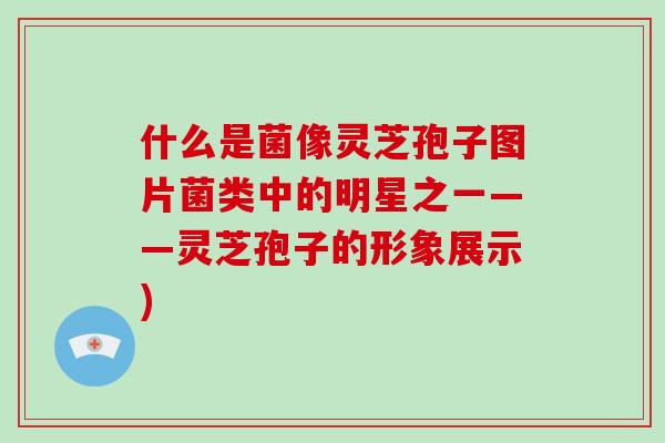 什么是菌像灵芝孢子图片菌类中的明星之一——灵芝孢子的形象展示)