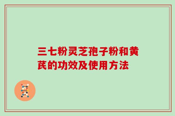 三七粉灵芝孢子粉和黄芪的功效及使用方法
