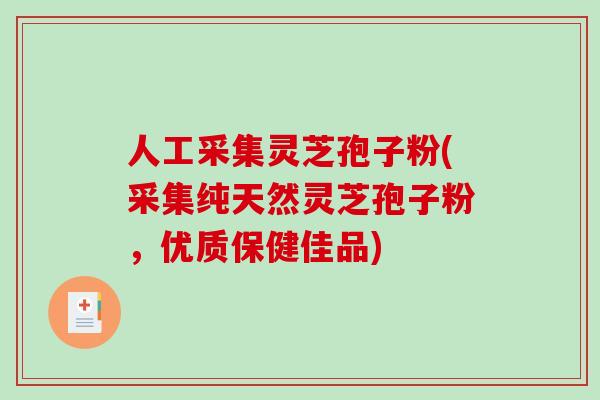 人工采集灵芝孢子粉(采集纯天然灵芝孢子粉，优质保健佳品)