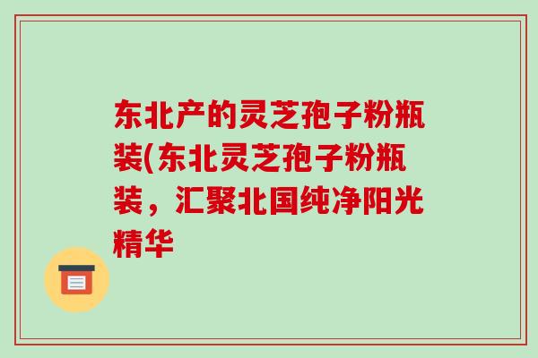 东北产的灵芝孢子粉瓶装(东北灵芝孢子粉瓶装，汇聚北国纯净阳光精华