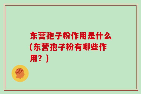东营孢子粉作用是什么(东营孢子粉有哪些作用？)