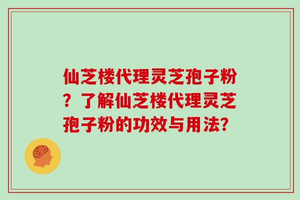 仙芝楼代理灵芝孢子粉？了解仙芝楼代理灵芝孢子粉的功效与用法？
