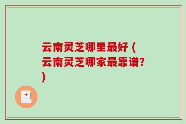 云南灵芝哪里好 (云南灵芝哪家靠谱？)