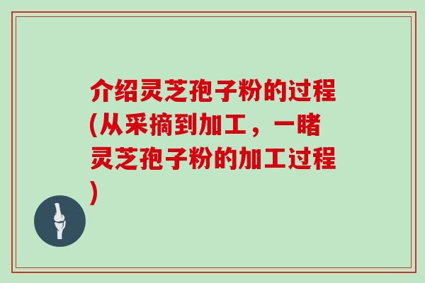 介绍灵芝孢子粉的过程(从采摘到加工，一睹灵芝孢子粉的加工过程)
