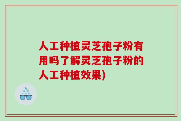 人工种植灵芝孢子粉有用吗了解灵芝孢子粉的人工种植效果)