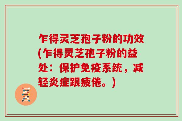 乍得灵芝孢子粉的功效(乍得灵芝孢子粉的益处：保护免疫系统，减轻跟疲倦。)